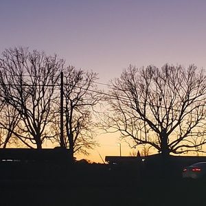 Meet your Posher, Cheyenne